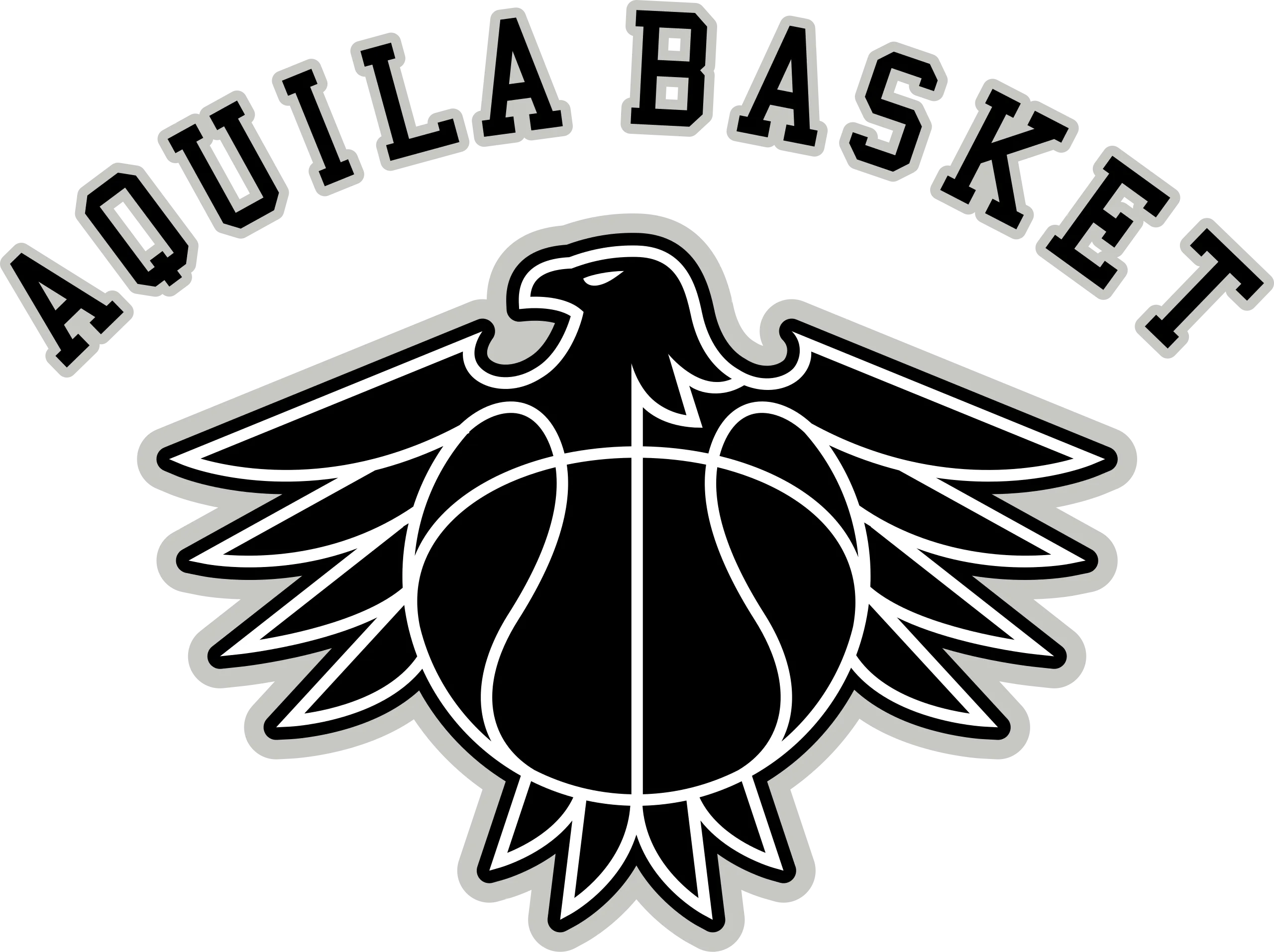 public/images/partnership-logo/06-partnership-2/logo-acquila-basket.webp